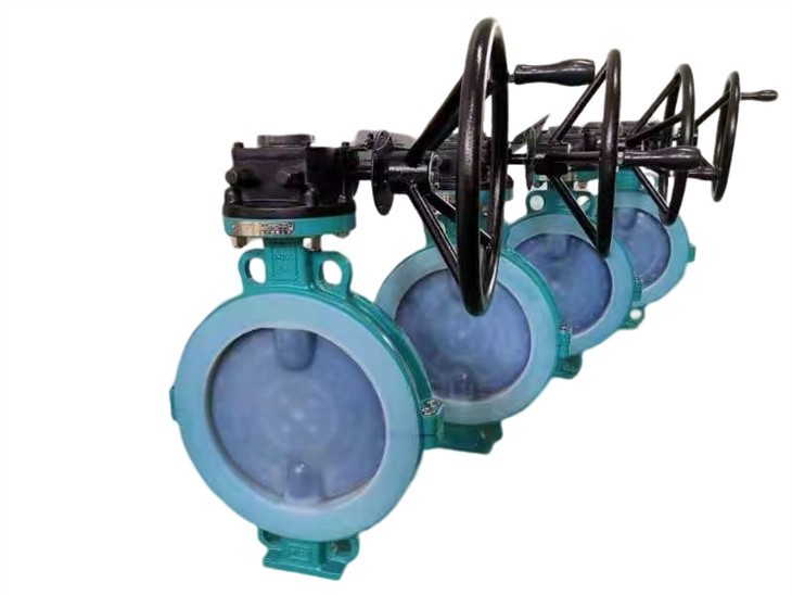 F46 concentric butterfly valve (5)